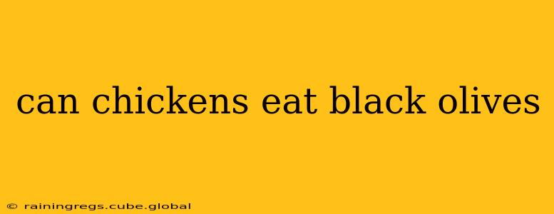 can chickens eat black olives