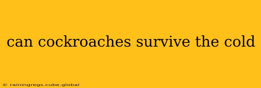 can cockroaches survive the cold