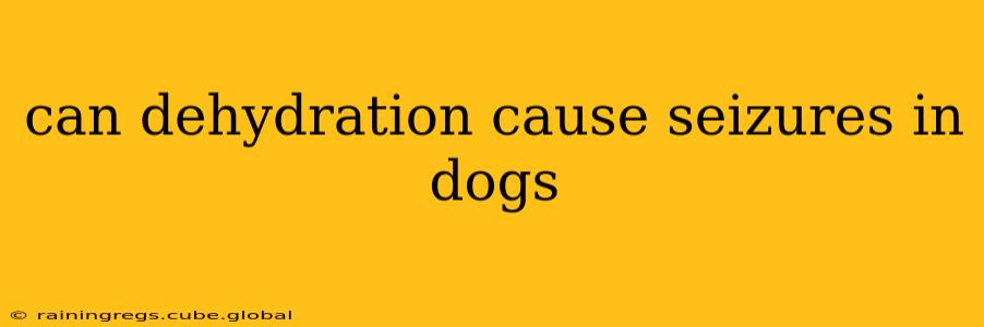 can dehydration cause seizures in dogs