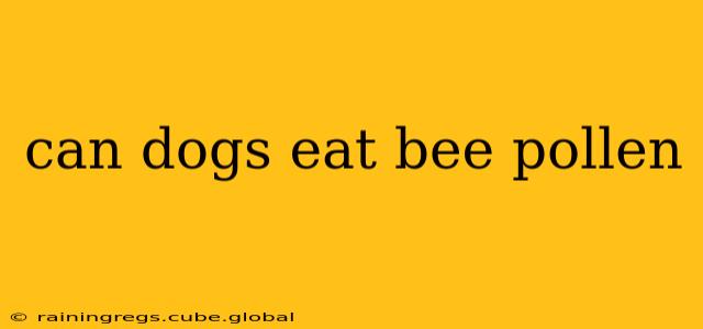can dogs eat bee pollen