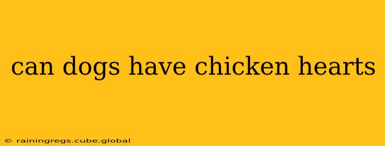 can dogs have chicken hearts