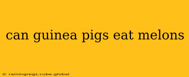 can guinea pigs eat melons