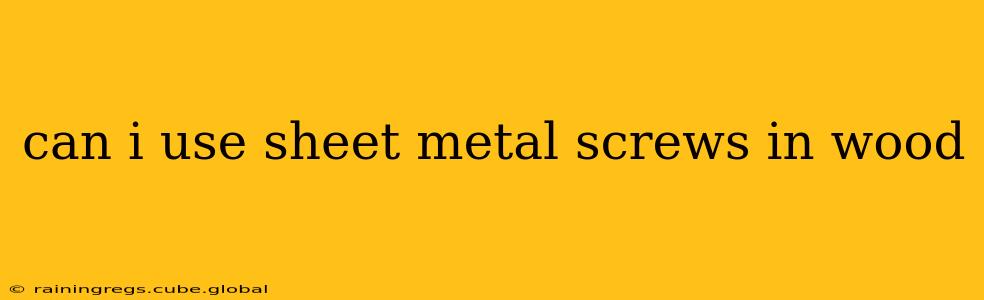 can i use sheet metal screws in wood