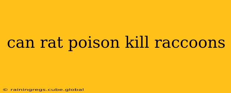 can rat poison kill raccoons