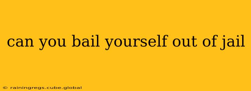 can you bail yourself out of jail