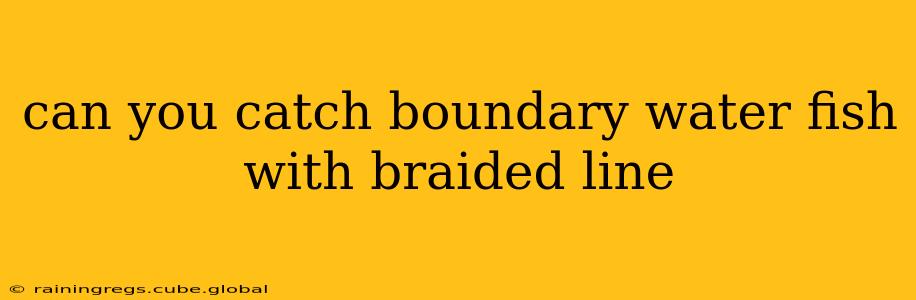 can you catch boundary water fish with braided line