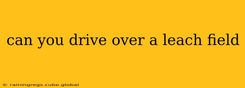 can you drive over a leach field