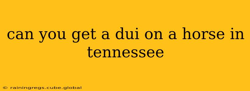 can you get a dui on a horse in tennessee