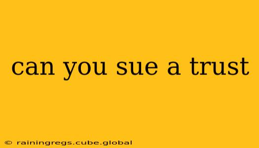 can you sue a trust