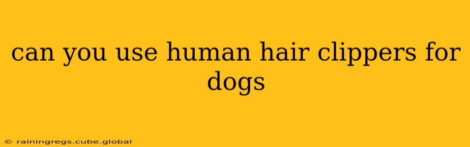 can you use human hair clippers for dogs