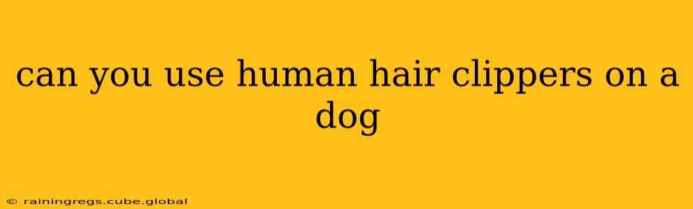 can you use human hair clippers on a dog