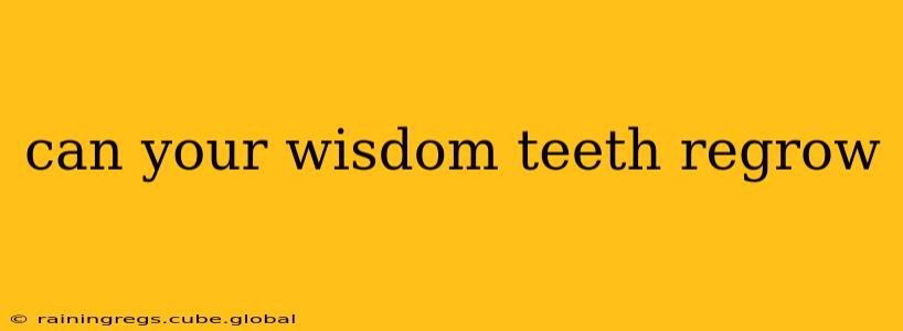 can your wisdom teeth regrow