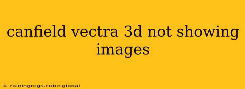 canfield vectra 3d not showing images