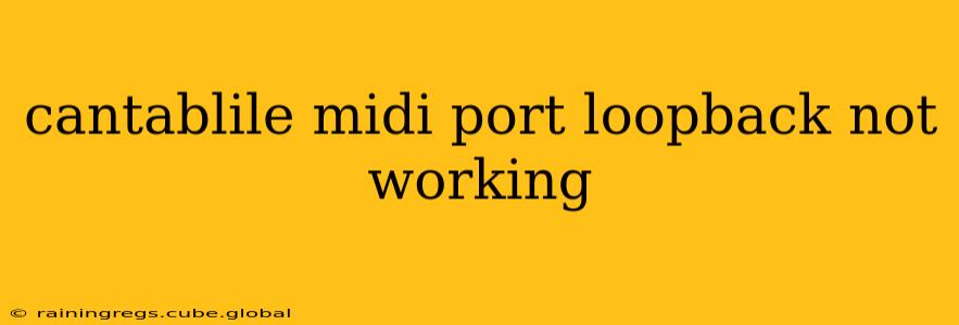 cantablile midi port loopback not working