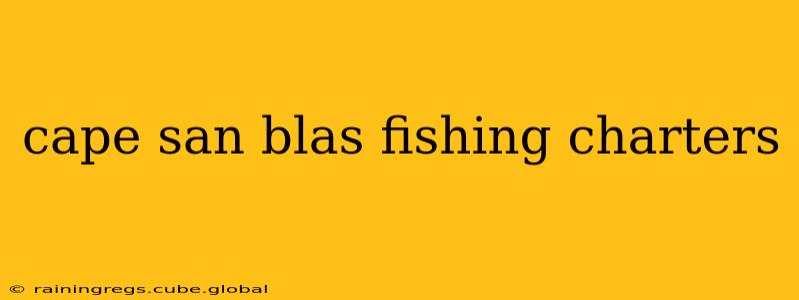 cape san blas fishing charters