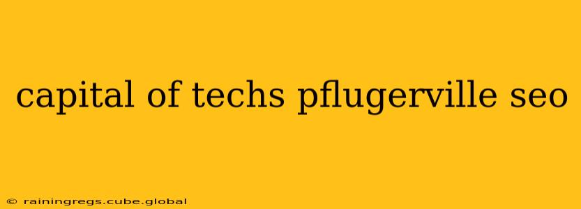 capital of techs pflugerville seo
