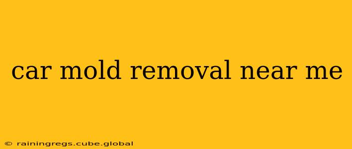 car mold removal near me