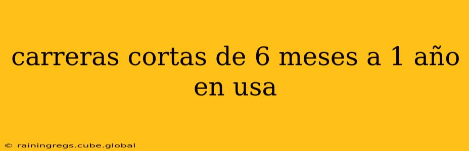 carreras cortas de 6 meses a 1 año en usa