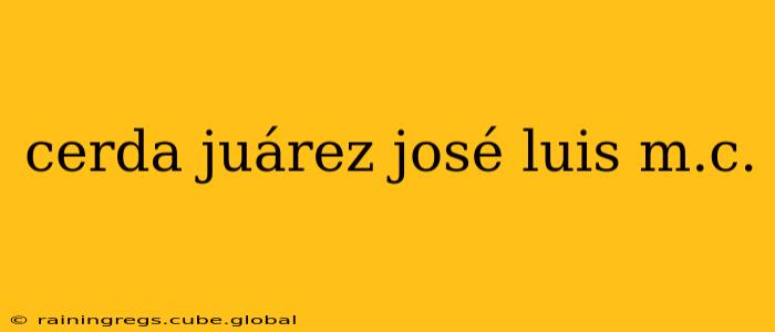 cerda juárez josé luis m.c.