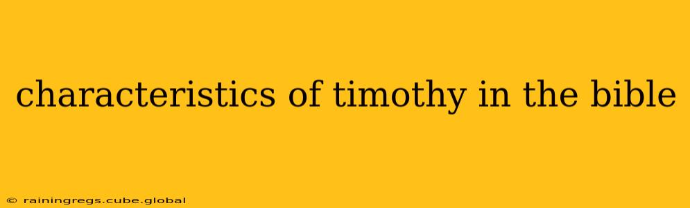 characteristics of timothy in the bible