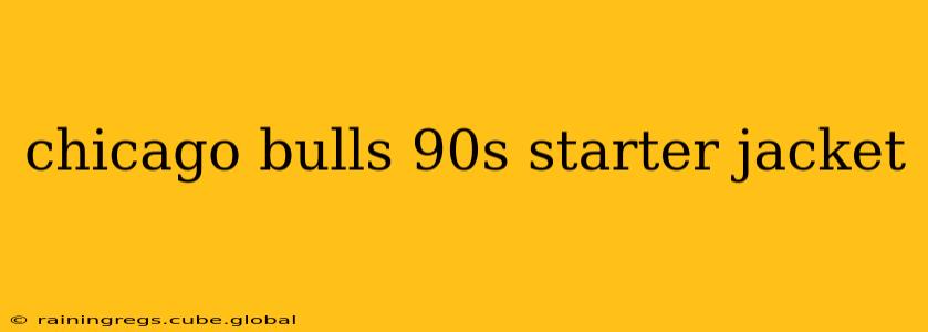 chicago bulls 90s starter jacket