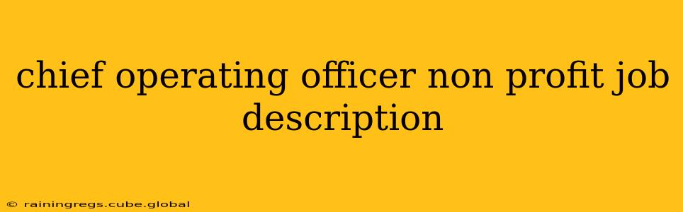 chief operating officer non profit job description