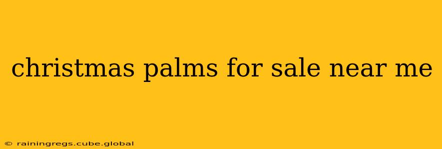 christmas palms for sale near me