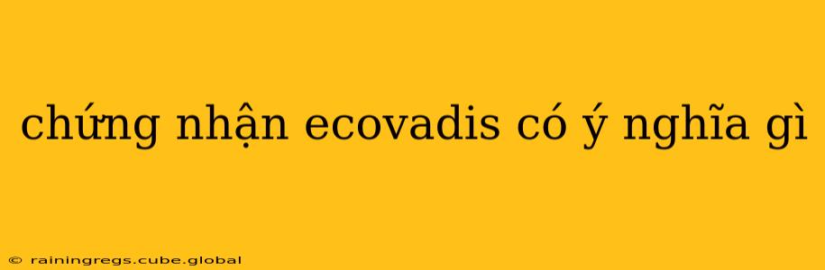 chứng nhận ecovadis có ý nghĩa gì