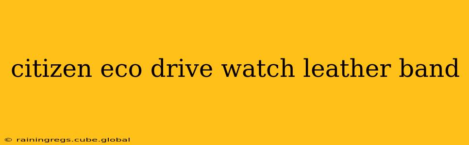 citizen eco drive watch leather band
