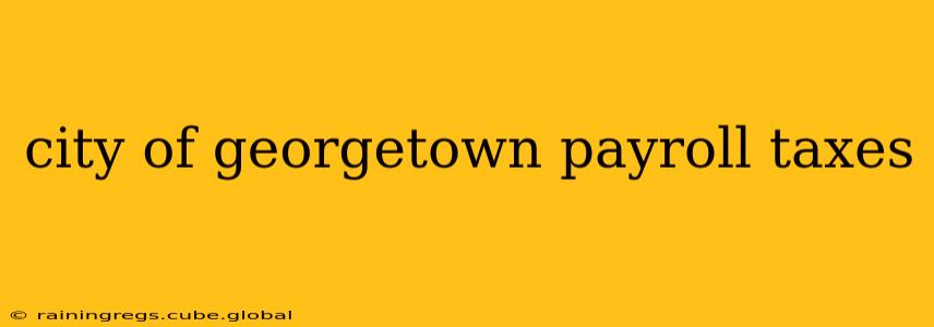 city of georgetown payroll taxes