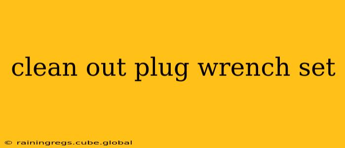 clean out plug wrench set