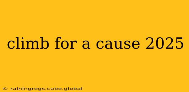 climb for a cause 2025