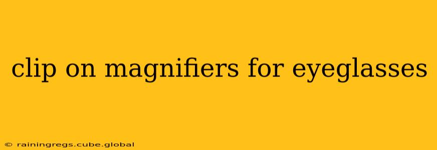 clip on magnifiers for eyeglasses