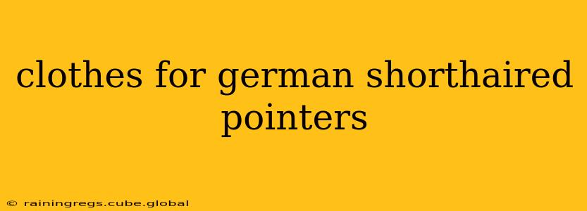 clothes for german shorthaired pointers