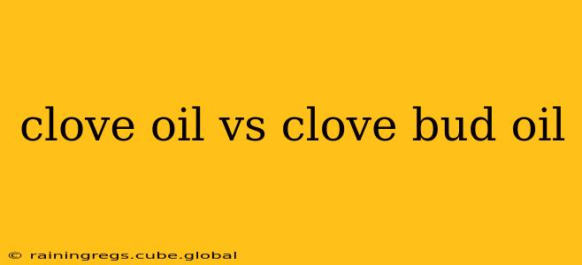 clove oil vs clove bud oil