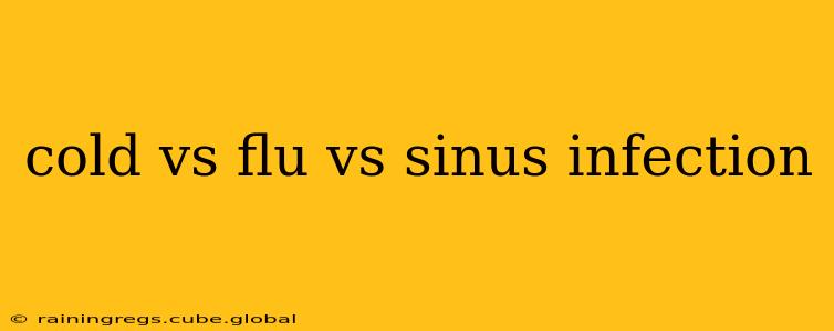 cold vs flu vs sinus infection