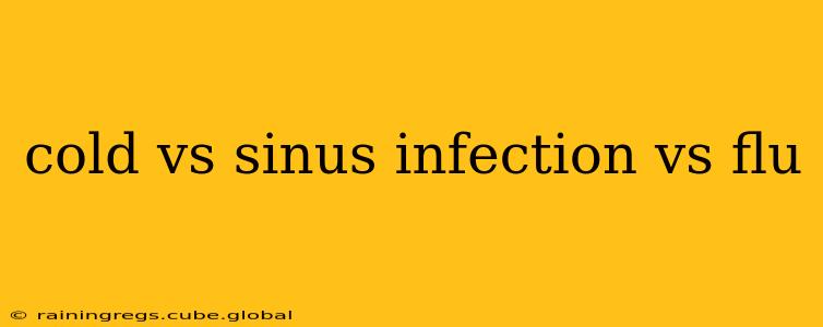 cold vs sinus infection vs flu
