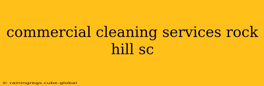 commercial cleaning services rock hill sc