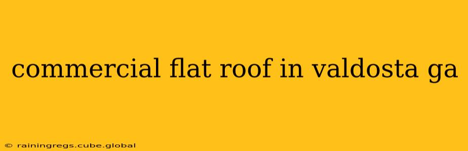 commercial flat roof in valdosta ga