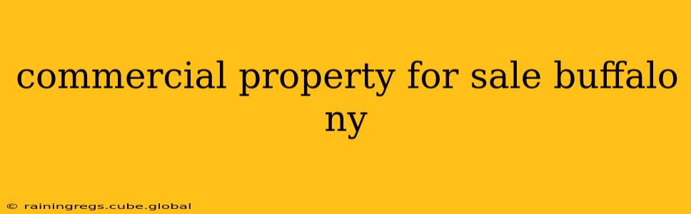 commercial property for sale buffalo ny