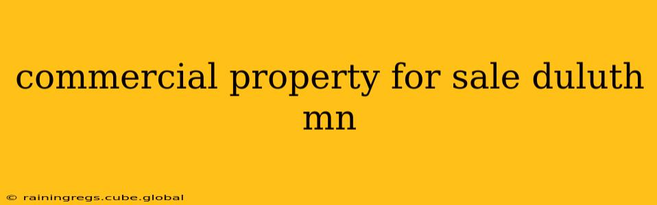commercial property for sale duluth mn