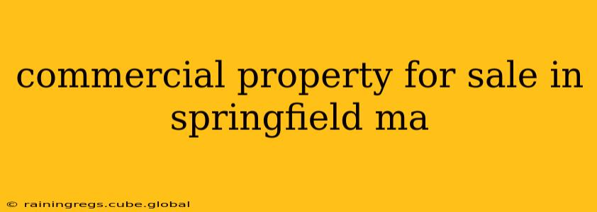 commercial property for sale in springfield ma