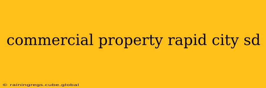commercial property rapid city sd