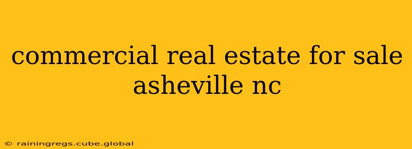 commercial real estate for sale asheville nc