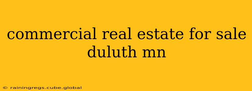 commercial real estate for sale duluth mn