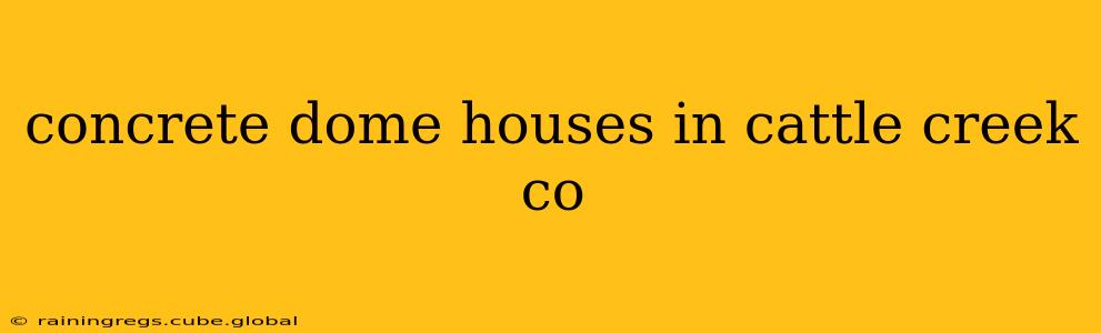 concrete dome houses in cattle creek co