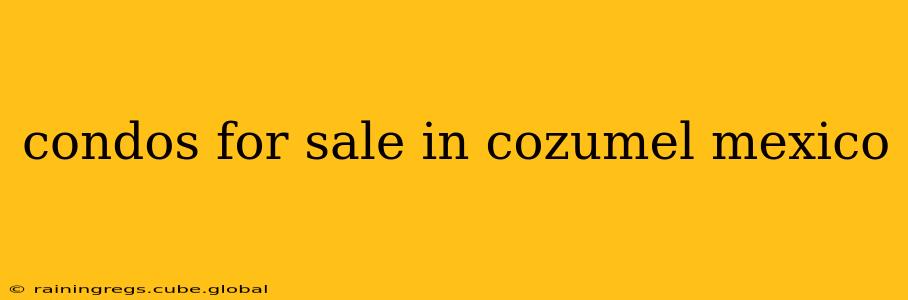 condos for sale in cozumel mexico
