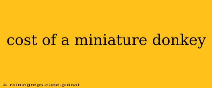 cost of a miniature donkey