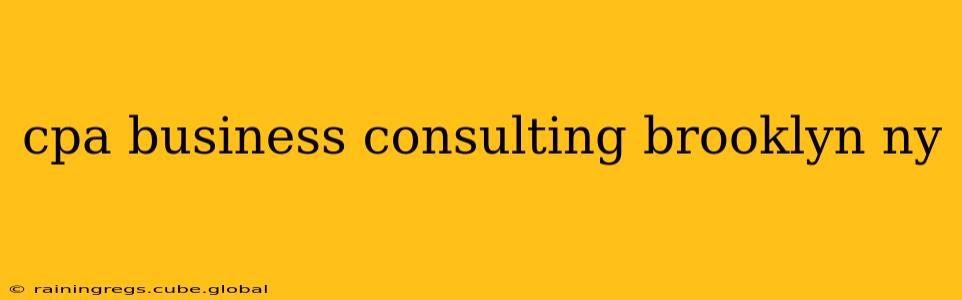 cpa business consulting brooklyn ny