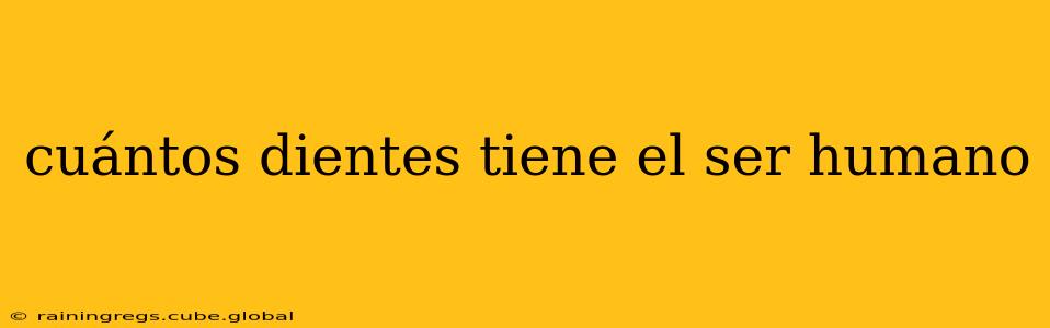 cuántos dientes tiene el ser humano